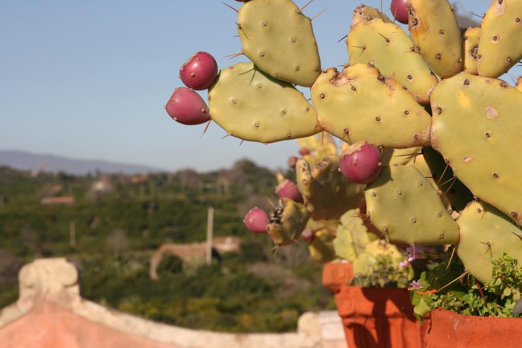 Villa Dei Leoni Santa Tecla Dış mekan fotoğraf