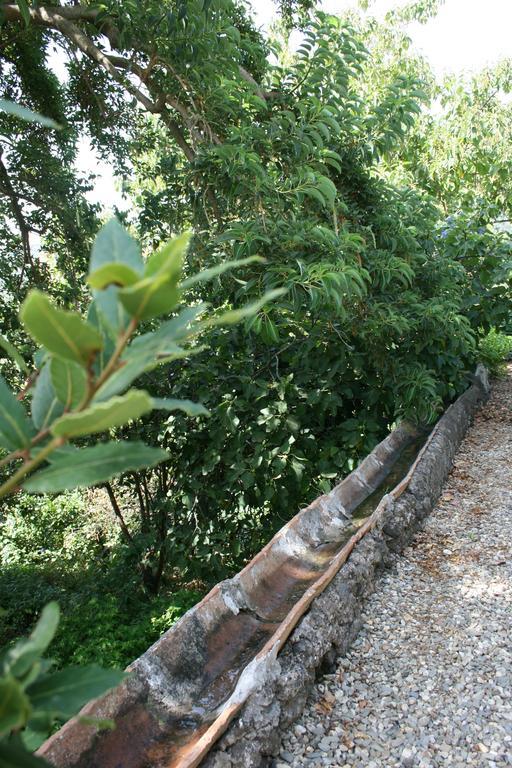 Villa Dei Leoni Santa Tecla Dış mekan fotoğraf