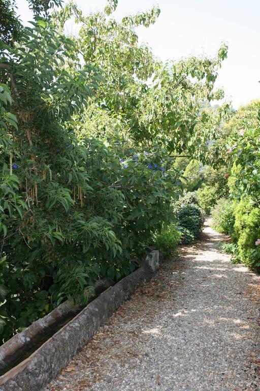 Villa Dei Leoni Santa Tecla Dış mekan fotoğraf